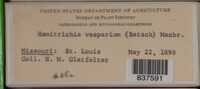 Image Associated With the Occurence